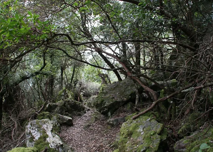 Rustica Appartement *