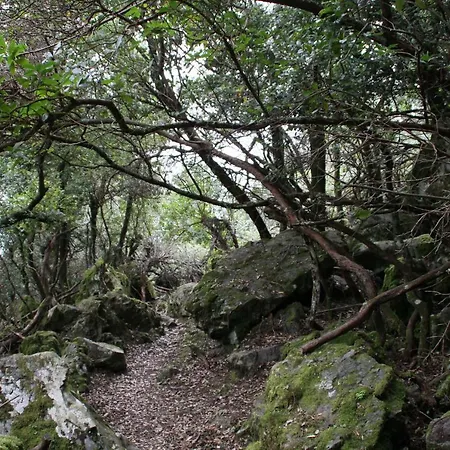 Rustica Διαμέρισμα *